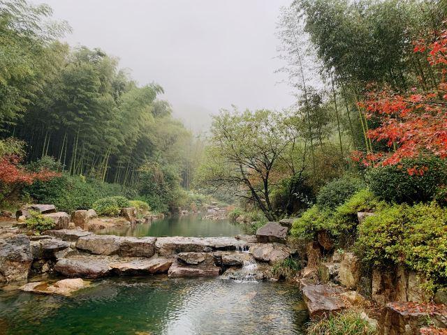 宜兴竹海风景区 旅游攻略(清新自然风光优美)(15)