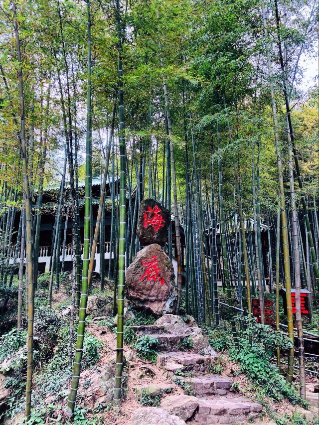 宜兴竹海风景区 旅游攻略(清新自然风光优美)(16)