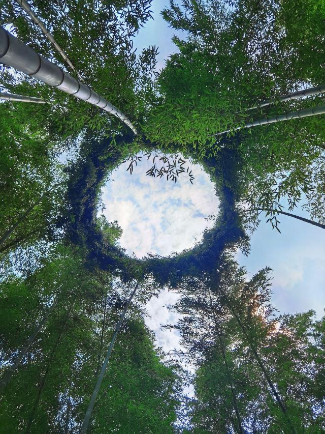 宜兴竹海风景区 旅游攻略(清新自然风光优美)(18)