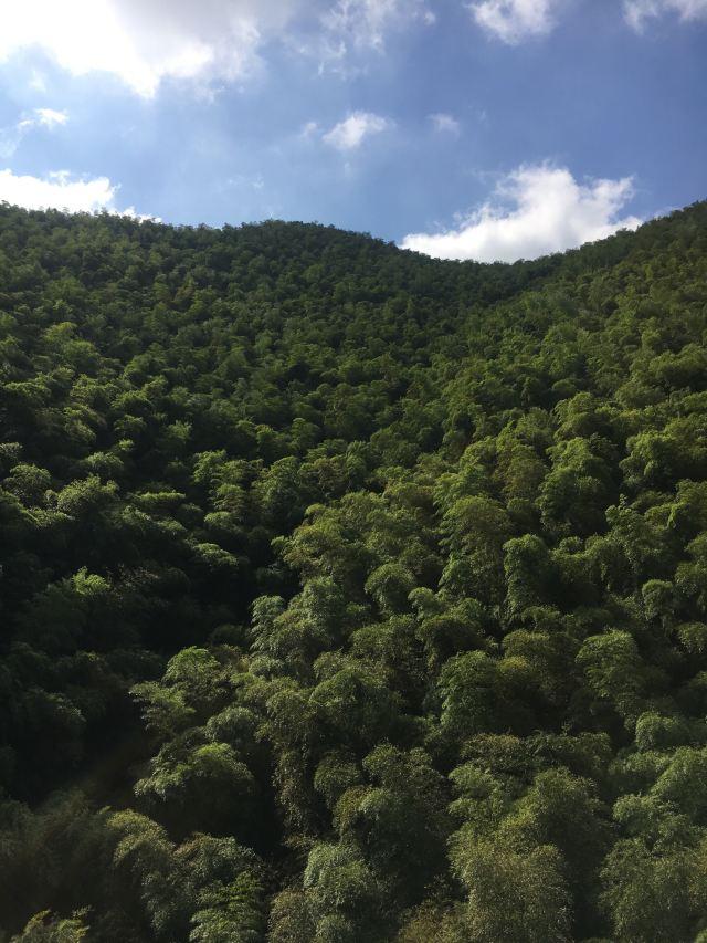 宜兴竹海风景区 旅游攻略(清新自然风光优美)(3)