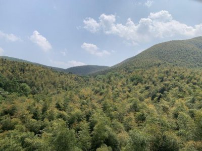 ​宜兴竹海风景区 旅游攻