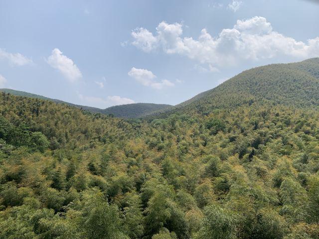 宜兴竹海风景区 旅游攻略(清新自然风光优美)(1)