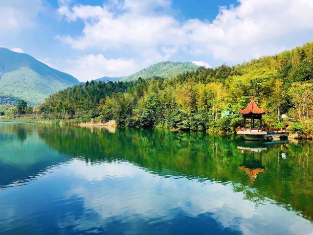 宜兴竹海风景区 旅游攻略(清新自然风光优美)(8)