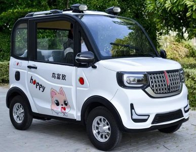 ​一万块以内，两款四座小四轮低速代步电动车