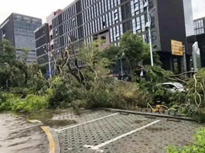 ​台风风力能达到多强？这些知识你必须了解！