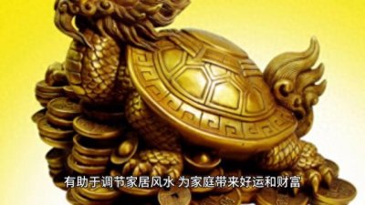 ​家庭养乌龟好吗？