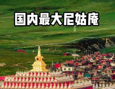​亚青寺“违规”行医觉姆：2万僧人修行地，她为何敢破铁律？