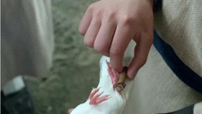 ​古代没有邮政系统，没有先进的通讯工具，那他们如何传递信息呢？