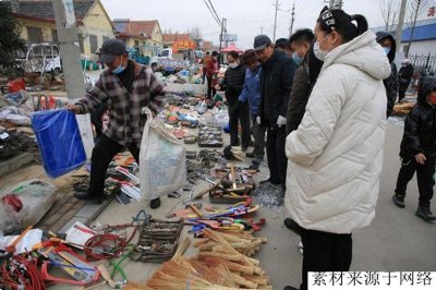 ​斗米虫的奥秘：它是什么？为什么这么贵？怎么吃？