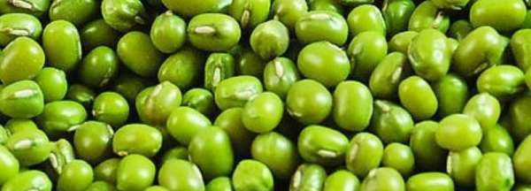 绿豆煮多久能熟,绿豆煮多久才会熟图2