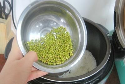 绿豆煮多久才会熟