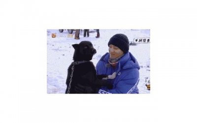 ​结婚之前的考虑 结婚前要考虑什么事情