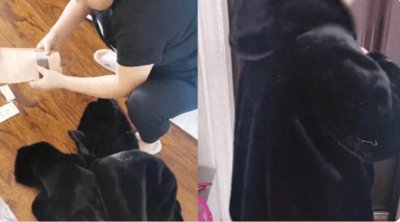 ​万元大衣直播间仅售几百元？揭秘低价诱惑背后的消费陷阱