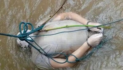 ​“湄公河惨案：糯康的罪行与最后的忏悔”