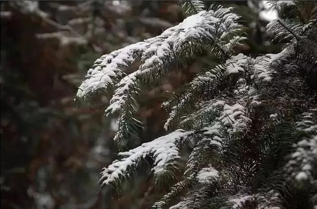 2.5h抵拢！除了青城山，都江堰还藏着一个“天空之境”