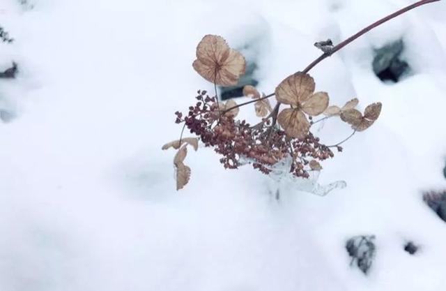 2.5h抵拢！除了青城山，都江堰还藏着一个“天空之境”