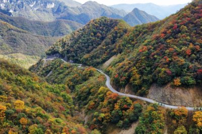 ​神龙架(用五天四晚逛遍湖北神农架，必打卡景点及详细攻略来啦！)