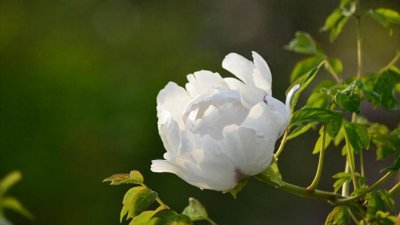 ​《警世通言》10句名言，精辟通透，饱含人生智慧！