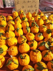 ​“丑橘”和“耙耙柑”有啥区别？味道口感差不少，学会可别乱买了