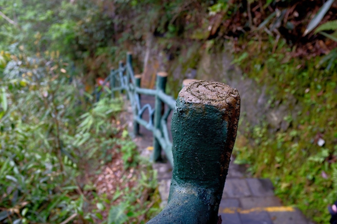 大明山最高峰大明顶海拔1489.9米，拥有32奇峰