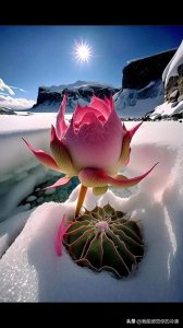 ​天蝎男喜欢你，会有以下特别显著的具体表现