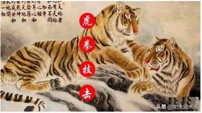 ​少林拳内功五拳之虎拳