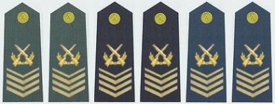 ​解放军一级军士长究竟