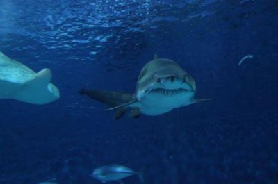 ​南昌旅遊咨詢