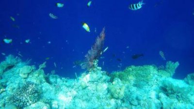 ​新疆哈密十大美景新疆哈密市十大旅游景点