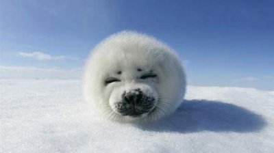 ​峨眉山位于哪个省份，峨眉山什么省份