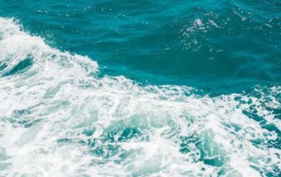 ​砀山酥梨三大名梨之首安徽宿州特产砀山酥梨