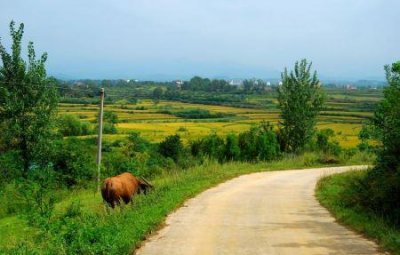 ​涠洲岛有什么好吃的涠洲岛美食攻略