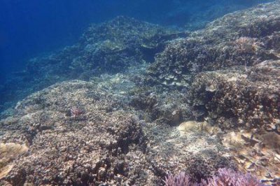 ​g490，联想g490内存条型号