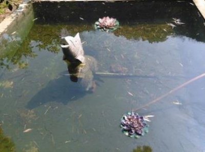 ​11月大阪旅游攻略必去景点和美食