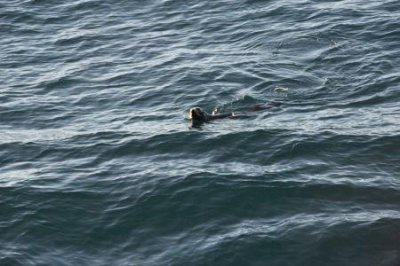 ​宁波旅游攻略