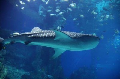 ​10月甘肃旅游的地方 探索甘肃秋季之旅