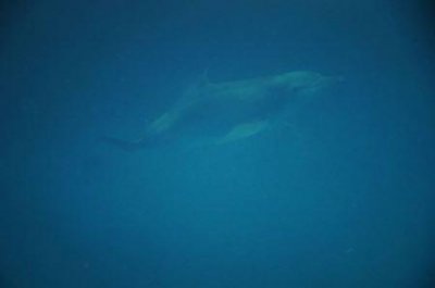 ​如何做好景区的优质服务