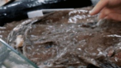 ​超鲜！超实惠！在日照，怎可缺少这六道诱人热菜？