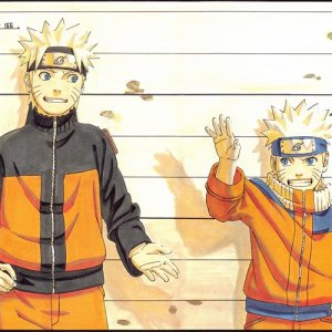 ​火影忍者木叶十二忍，