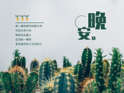 ​巩俐上热搜后，评论区