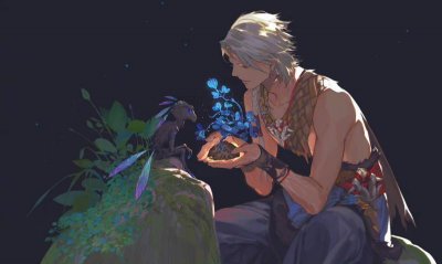 ​十一朵玫瑰花的含义？