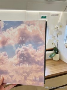 ​爱飞嘉私人飞机|40岁新