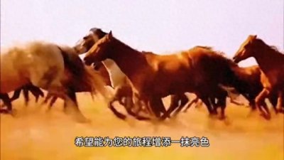 ​大美中国之甘肃镇原