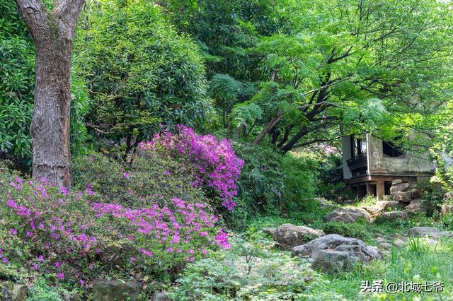 道亭房许嵩（七号公园许嵩）(3)