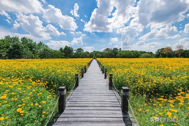 道亭房许嵩（七号公园许嵩）(2)