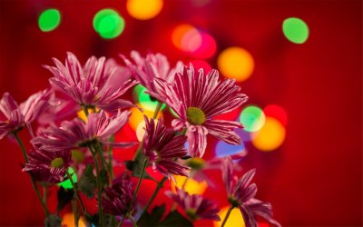 ​关于辛亥革命110周年重