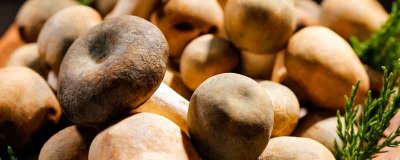 ​没有焯过水的香菇可以