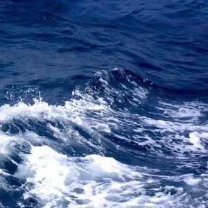 ​男人出轨了怎么办最好