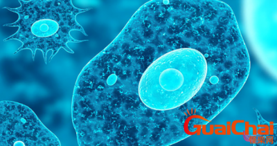 ​食脑虫感染成脑膜炎至