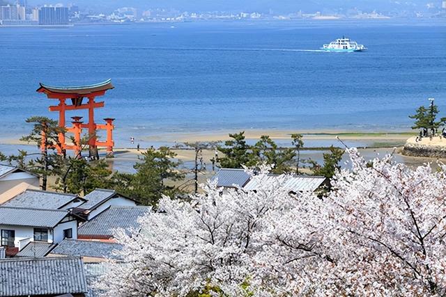 广岛长崎核弹爆炸范围（核武器爆炸后对人体会有哪些危害）(13)